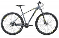 Bicicletta Bottecchia 116 MTB 29 Altus Disk 16S 2024