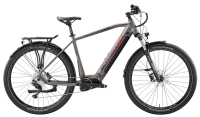 Bicicletta Bottecchia BE55 HYDRON URBAN Titanio 29" OLI 2024 