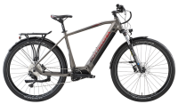 Bicicletta Bottecchia BE55 HYDRON URBAN Titanio 29" OLI 2025 